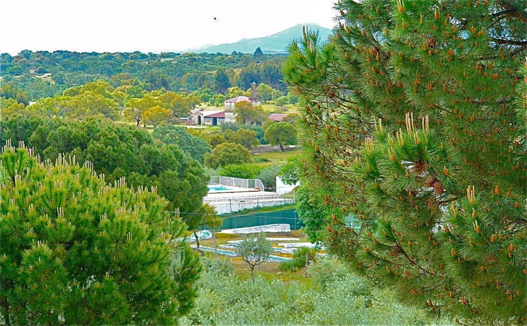 Quinta Da Bela Vista Apartment Póvoa e Meadas Cameră foto