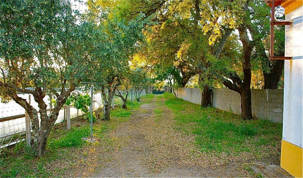 Quinta Da Bela Vista Apartment Póvoa e Meadas Cameră foto